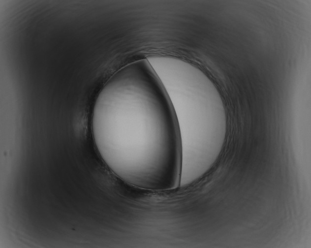 X0000099580697200805160746