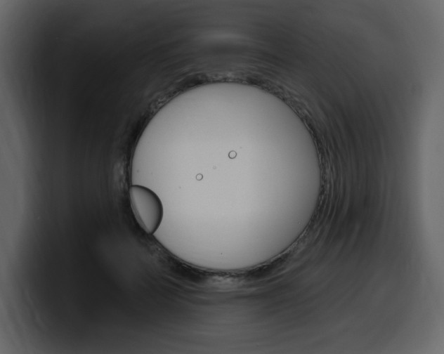 X0000099580699200805160746