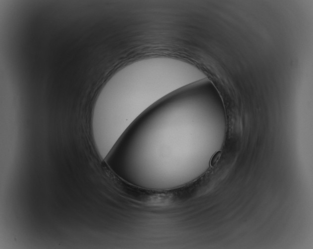 X0000099580700200805160746