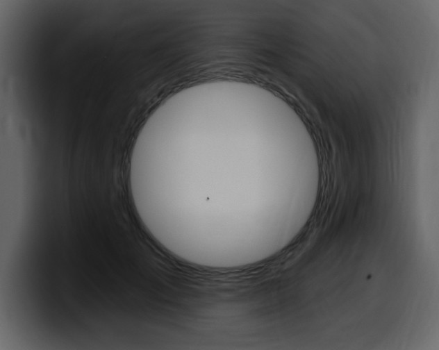 X0000099580701200805160746