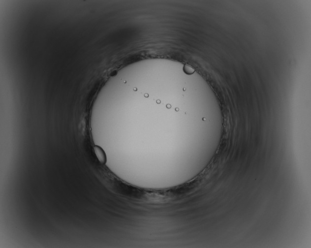 X0000099580703200805160746