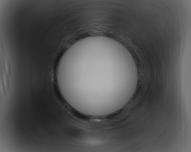X0000099580706200805160746