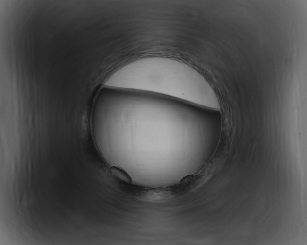 X0000099580708200805160746