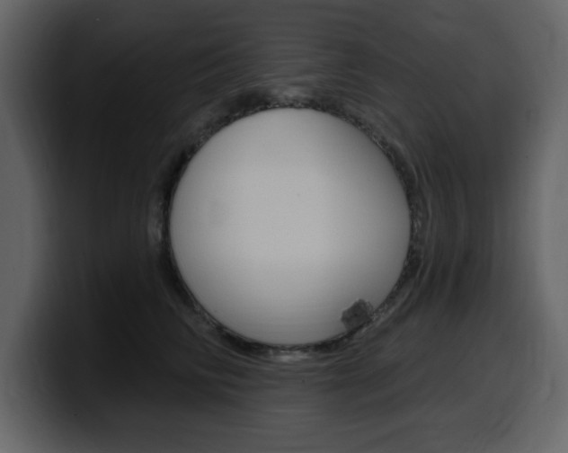 X0000099580710200805160746