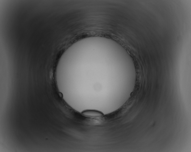 X0000099580711200805160746