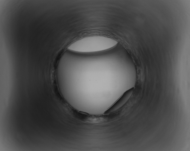 X0000099580712200805160746