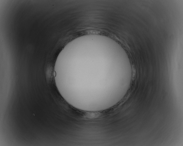 X0000099580713200805160746
