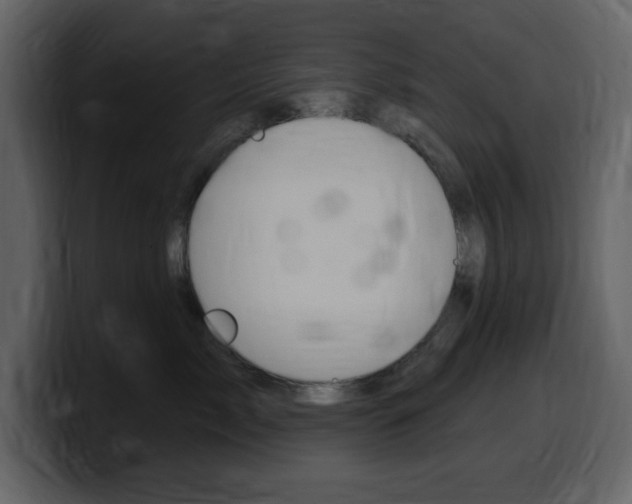 X0000099580717200805160746