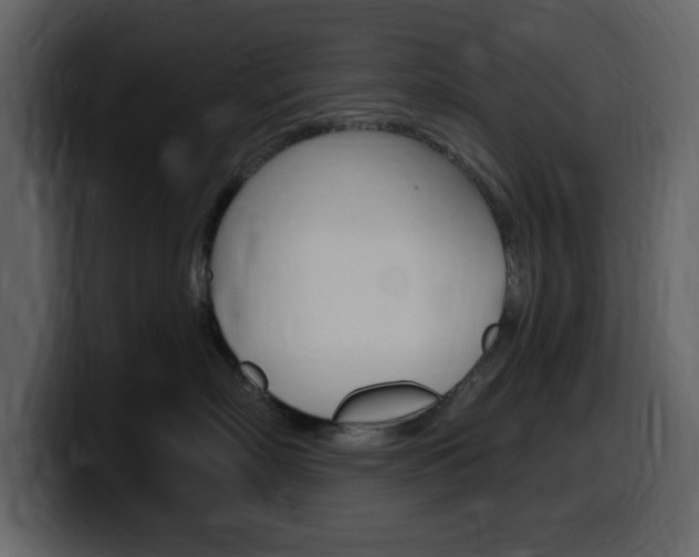 X0000099580718200805160746