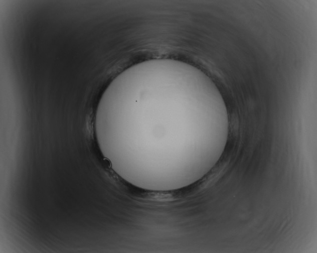 X0000099580719200805160746