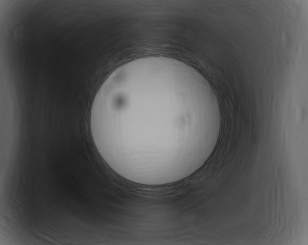 X0000099580720200805160746