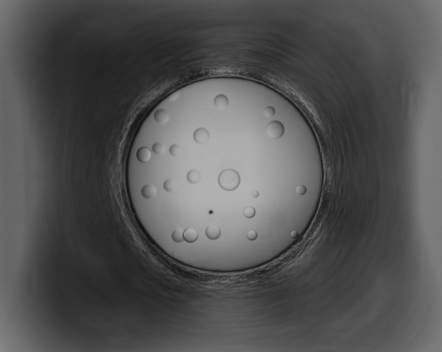 X0000099580721200805160745