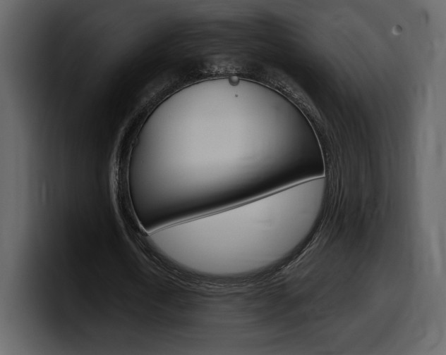 X0000099580722200805160745