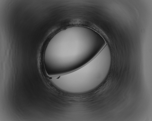 X0000099580724200805160745