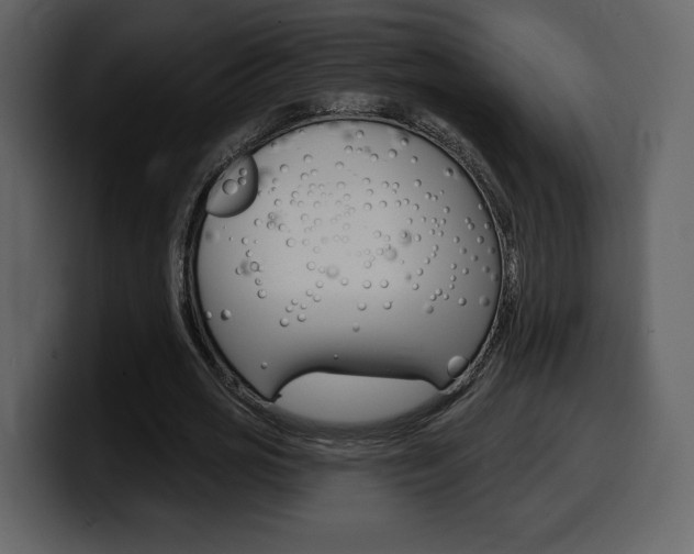 X0000099580725200805160745