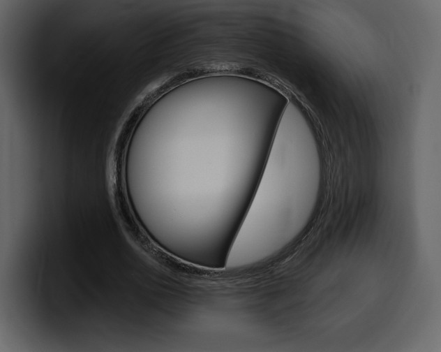 X0000099580726200805160745