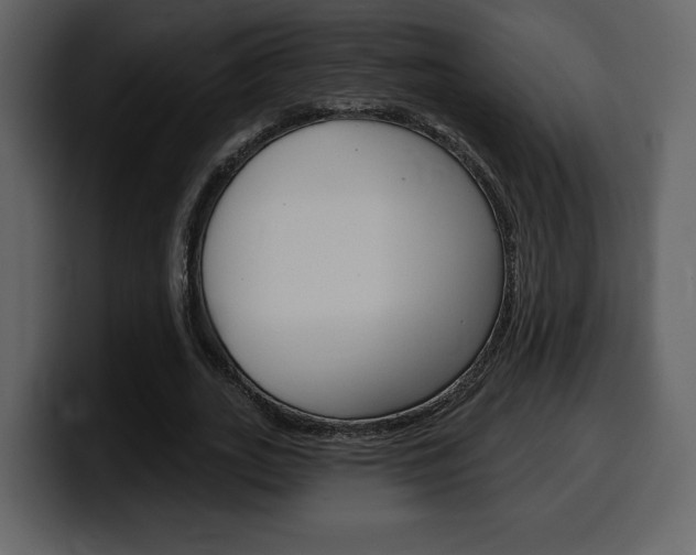 X0000099580727200805160745