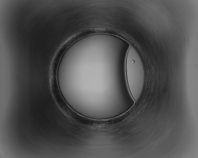 X0000099580728200805160745