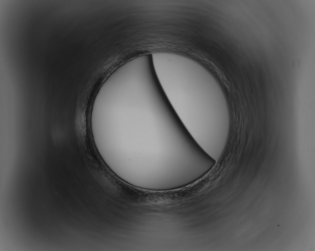 X0000099580729200805160745