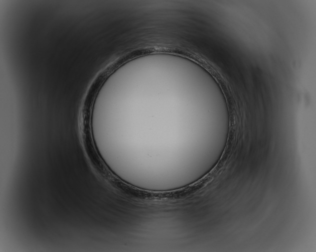 X0000099580730200805160745