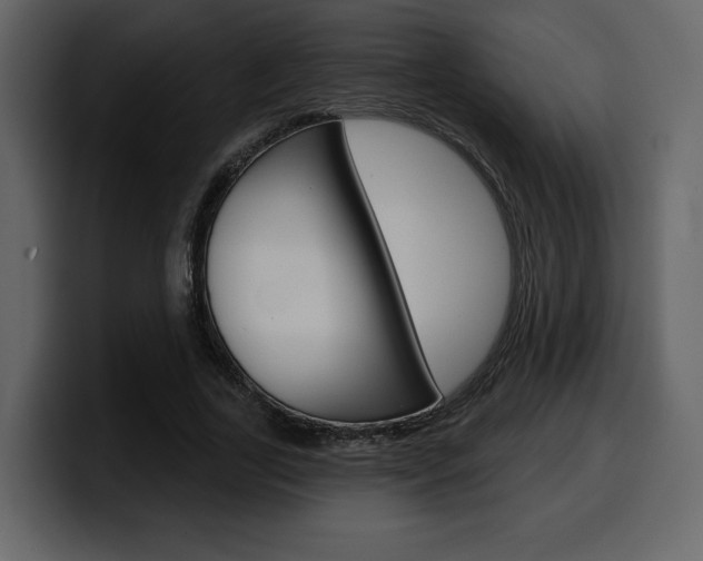 X0000099580731200805160745