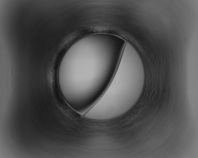 X0000099580732200805160745