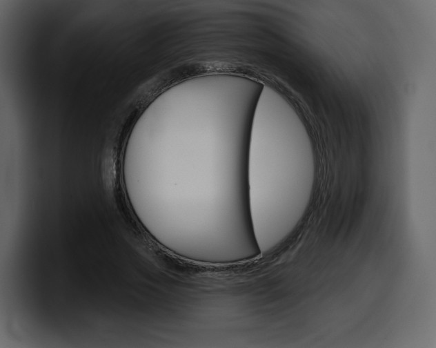 X0000099580733200805160745