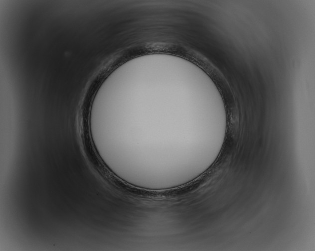 X0000099580734200805160745