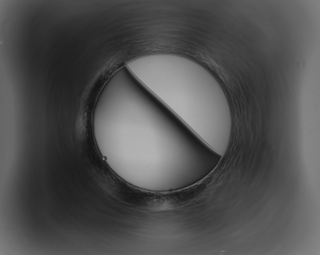 X0000099580735200805160745