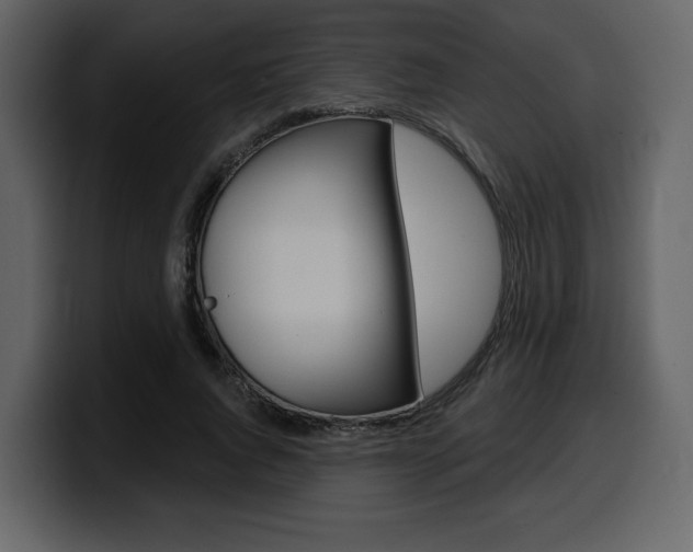 X0000099580736200805160745
