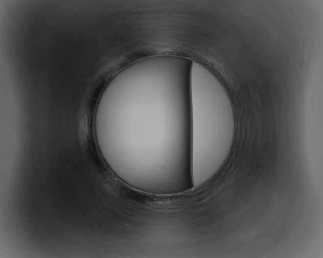 X0000099580740200805160745