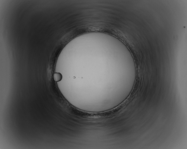 X0000099580741200805160745