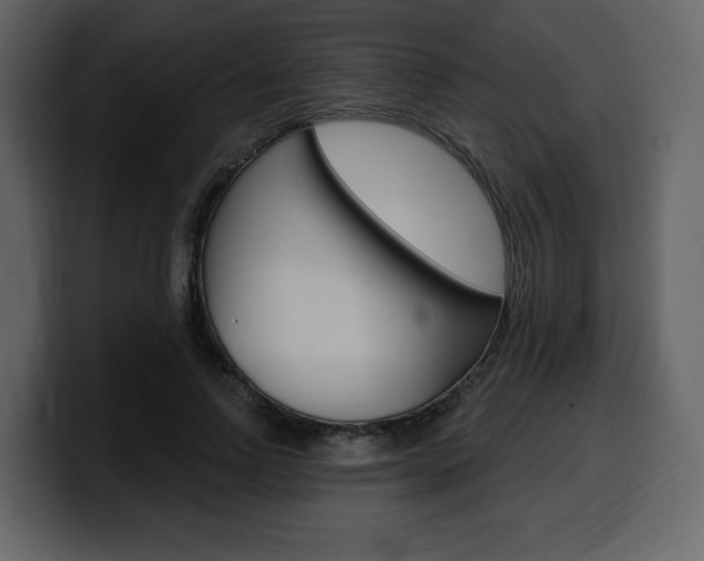 X0000099580742200805160745