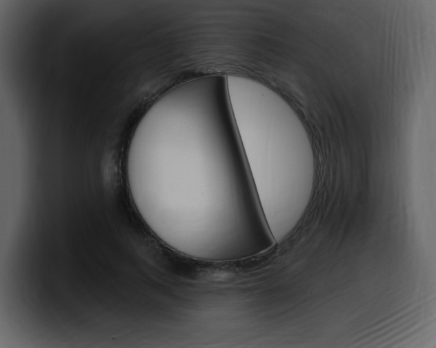 X0000099580743200805160745