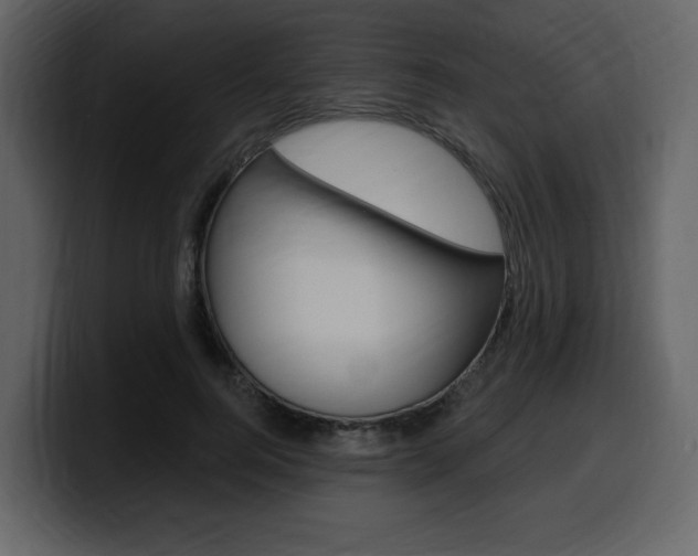 X0000099580744200805160745