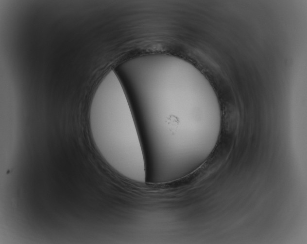 X0000099580747200805160746