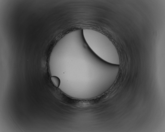 X0000099580749200805160746