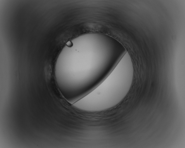 X0000099580752200805160746