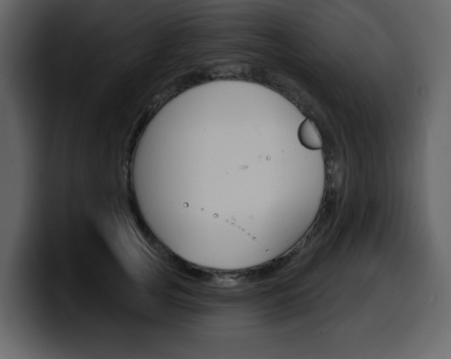 X0000099580753200805160746