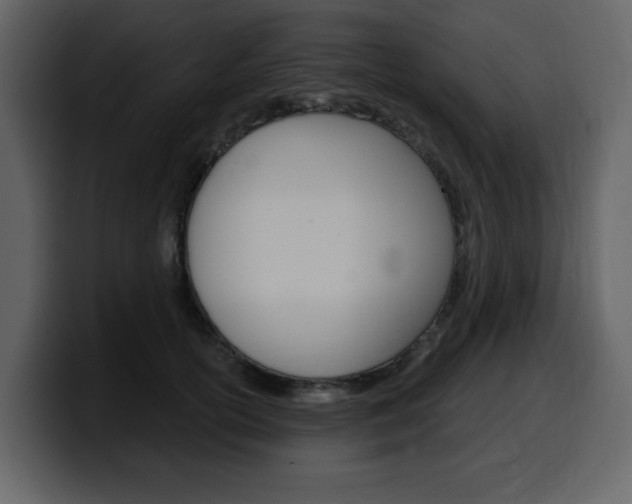 X0000099580754200805160746