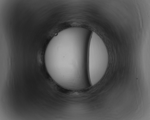 X0000099580755200805160746