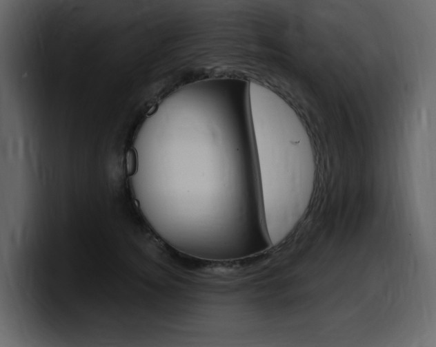 X0000099580756200805160746