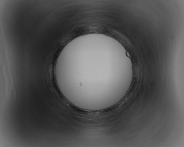 X0000099580757200805160746