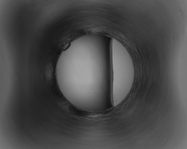 X0000099580760200805160746