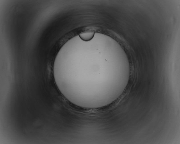X0000099580761200805160746