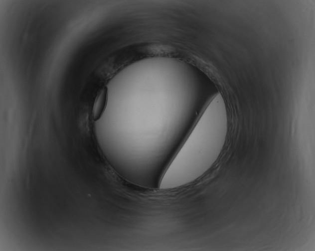 X0000099580762200805160746