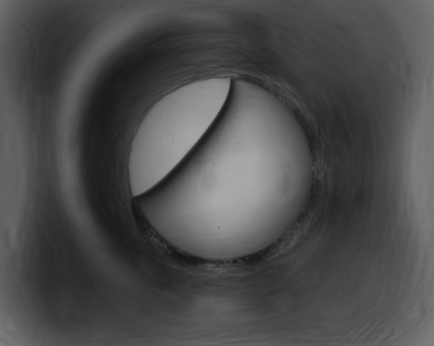 X0000099580763200805160746