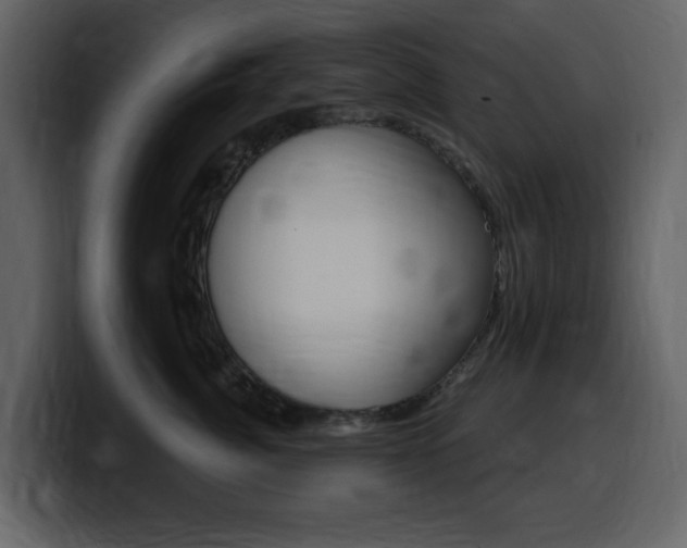 X0000099580764200805160746