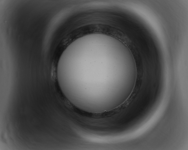 X0000099580766200805160746
