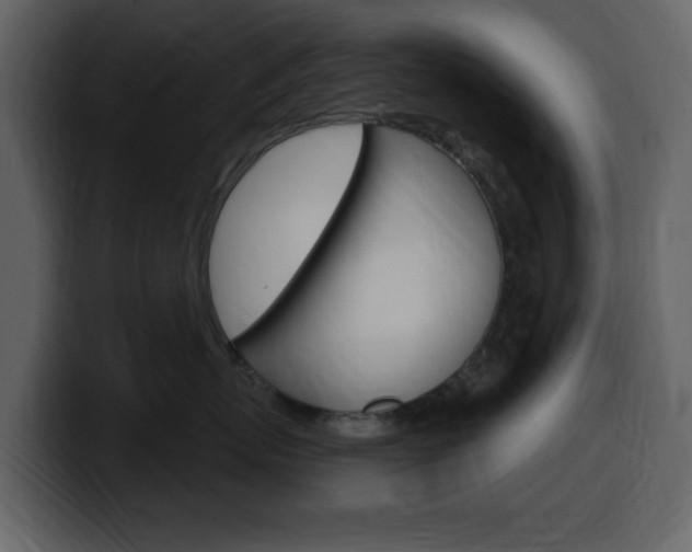 X0000099580767200805160746